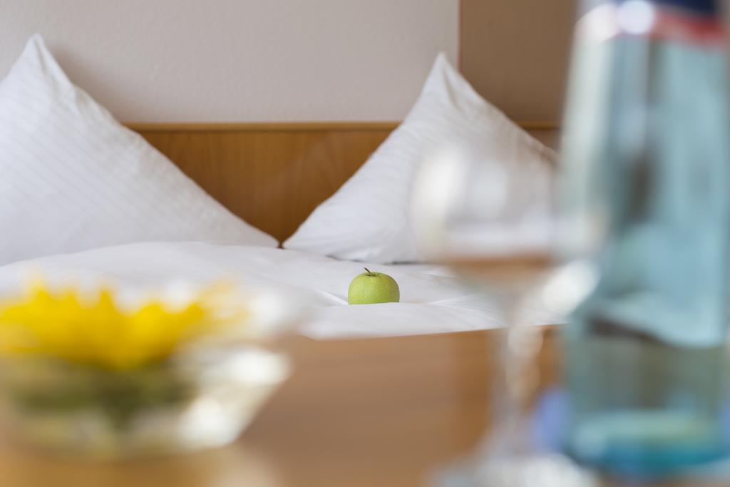 Hotel Gasthof Sonne Fridingen an der Donau Zewnętrze zdjęcie