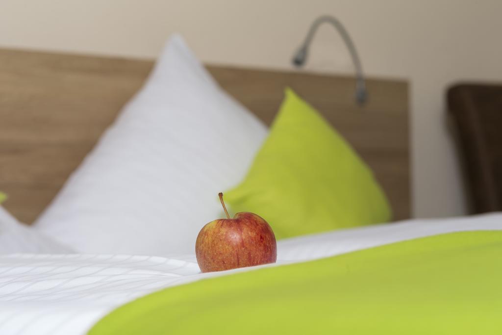 Hotel Gasthof Sonne Fridingen an der Donau Zewnętrze zdjęcie