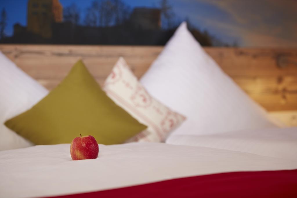 Hotel Gasthof Sonne Fridingen an der Donau Zewnętrze zdjęcie
